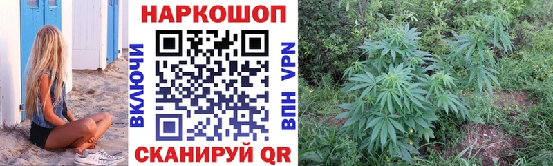 Купить наркотик Гаврилов-Ям A PVP Псилоцибиновые грибы МАРИХУАНА МЕФ