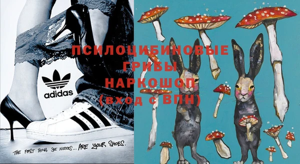 первитин Бородино
